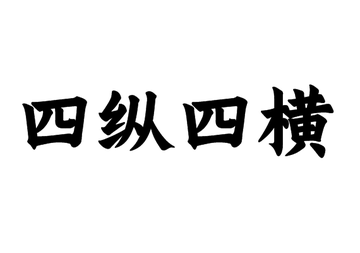 四纵四横