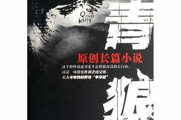青狼-张永军所著小说