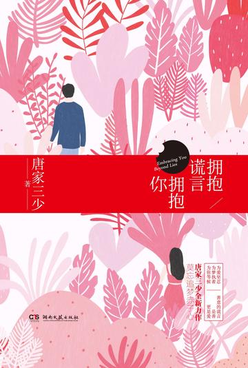 拥抱谎言拥抱你-2017年唐家三少所著言情小说