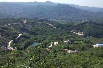 信阳五云山