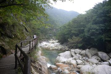 东河-大别山东河流域