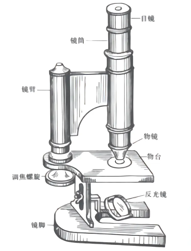 光学显微镜