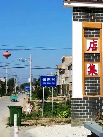 镇东村-亳州市涡阳县店集镇下辖村