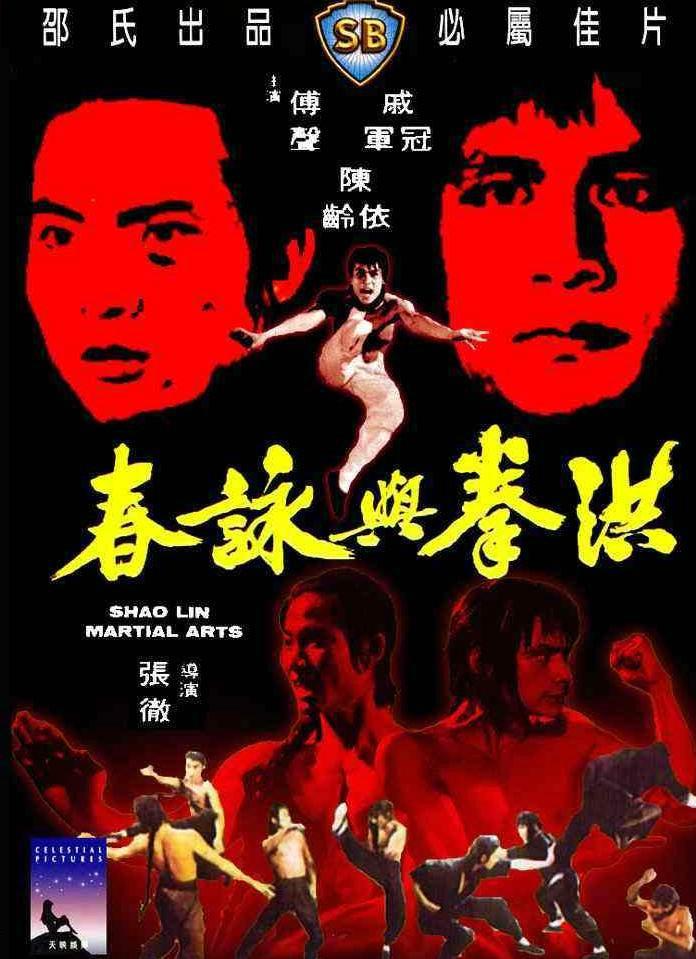 洪拳与咏春- 抖音百科