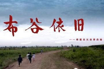 布谷依旧-布谷依旧