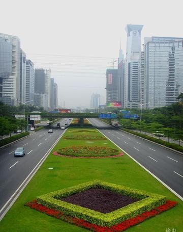 观光路-位于广东省深圳市的道路