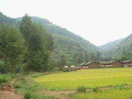 毛家河村-湖北省罗田县匡河镇毛家河村