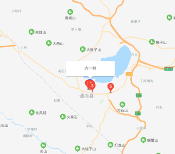 六一村