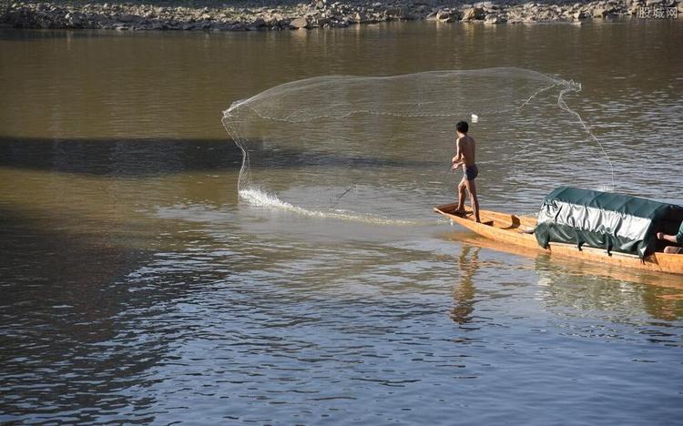 中水渔业(000798)连续涨停分析：政策支撑与板块轮动驱动