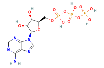 三磷酸腺苷