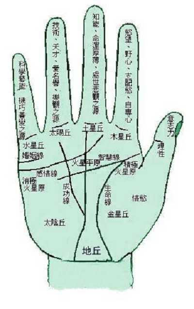 算命占法 网络算命，危机四伏-36氪
