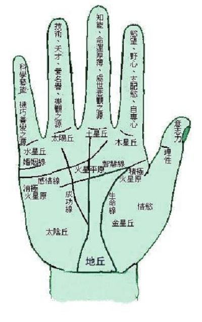 算命占卜- 抖音百科