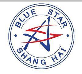 上海蓝星广告传媒有限公司-1995年成立于上海市的公司