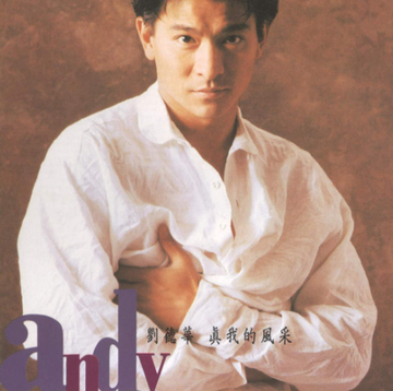 独自去偷欢-1992年刘德华演唱歌曲