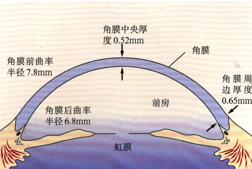 e2c82e65bb6640a78f24cbf3c05d3e6e~tplv-xv4ileqgde-image.image