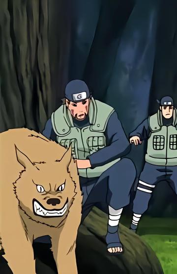 犬冢颚