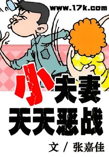 小夫妻天天恶战-张嘉佳所著网络小说