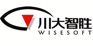 四川川大智胜软件股份有限公司