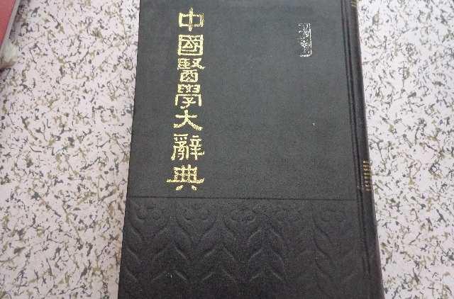 中国医学大辞典- 抖音百科