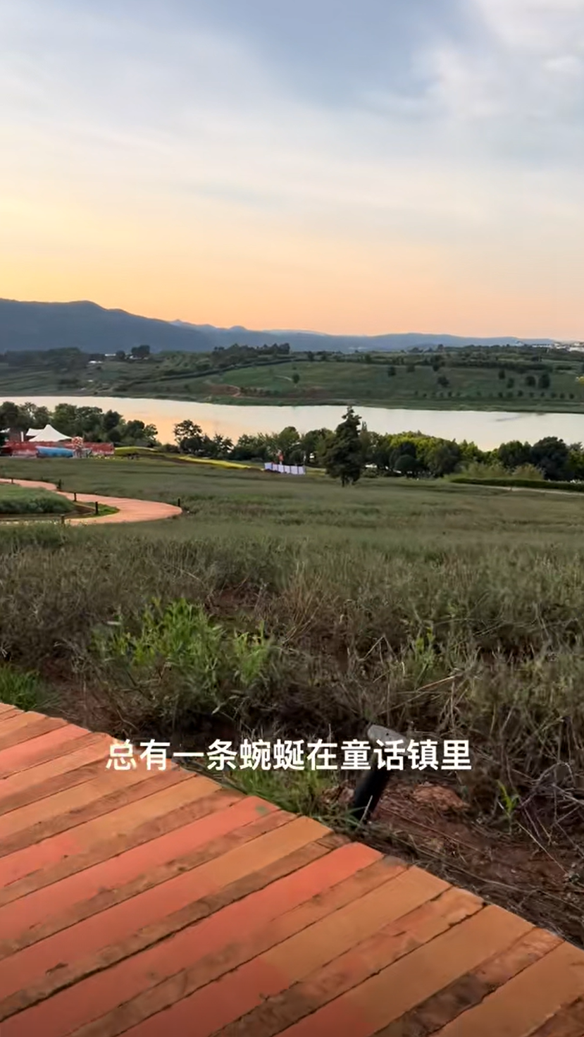 小乔旺仔作品截图
