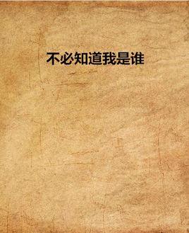 不必知道我是谁-2003年饶雪漫所著书籍