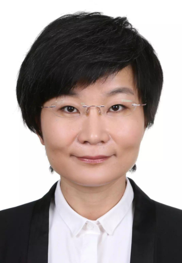 苏晓晖-国际战略研究所副所长