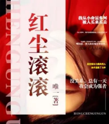 红尘滚滚-唯一所著都市生活小说