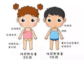 性早熟-一种内外生殖器官提前发育及第二性征提前呈现的内分泌疾病