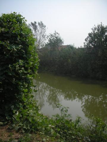 虺城-江苏省丰县范楼镇辖村