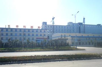 五得利集团禹城面粉有限公司-2010年成立的面粉加工企业