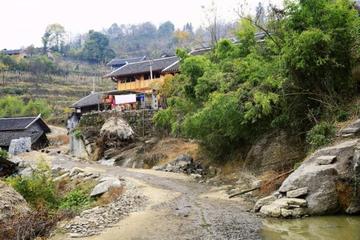 金龙村