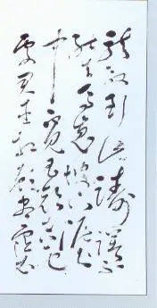 罗树人