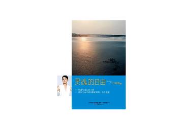 灵魂的自由-伊能静著散文集