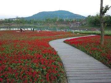 四季花海创意农业示范区-位于北京市延庆县的景点