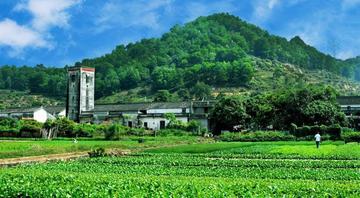 凤岗山