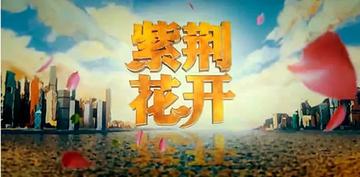 紫荆花开-香港回归20周年五集大型纪录片