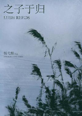 之子于归-电影