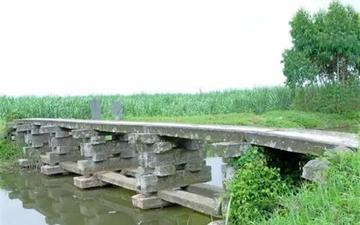 南山村-广东省雷州市附城镇下辖村