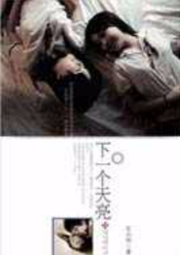 下一个天亮-海天出版社出版小说