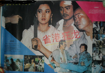 省港狂龙-1989年莫梓江等主演的剧情片