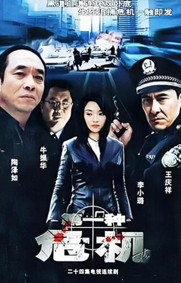 第一种危机-2004年王永执导电视剧
