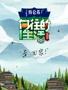 陈乔恩