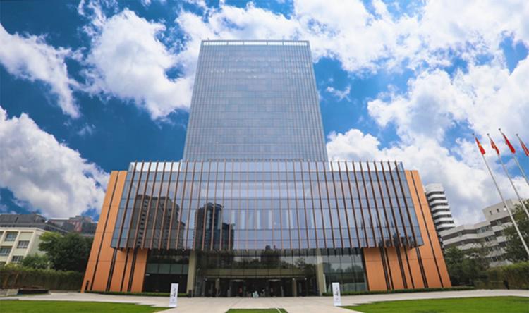 大东方(600327.SS)营收变化与双主业战略效果分析