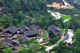 新寨村