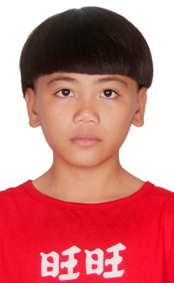 李子森