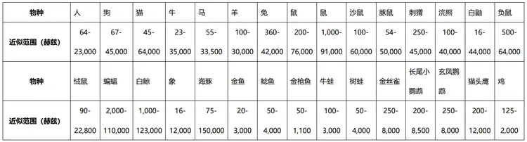 超声波