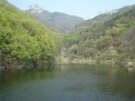 黄溪河-重庆黄溪河