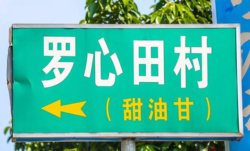 罗心田村