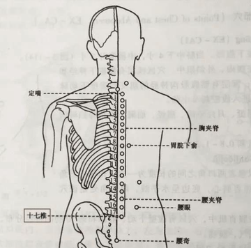 定喘穴-快懂百科