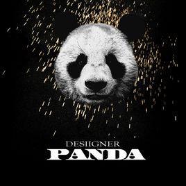 panda-2016年Desiigner演唱的歌曲